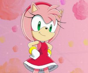 yapboz Amy Rose, Sonic kız iddia kirpi kadın